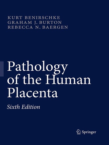 Kurt Benirschke, Graham J. Burton, Rebecca N Baergen - Pathology of the Human Placenta, Häftad