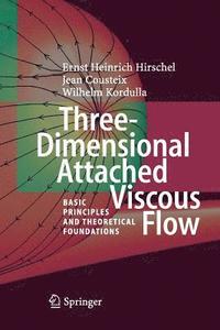 bokomslag Three-Dimensional Attached Viscous Flow