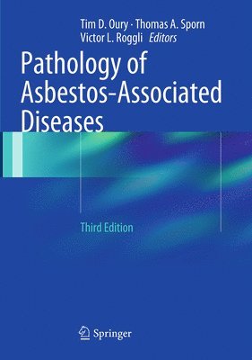 bokomslag Pathology of Asbestos-Associated Diseases