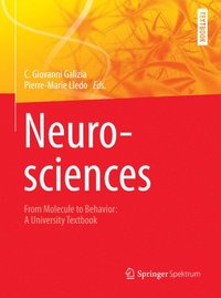 bokomslag Neurosciences - From Molecule to Behavior: a university textbook