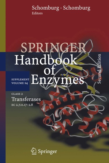 bokomslag Class 2 Transferases