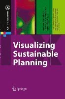 bokomslag Visualizing Sustainable Planning