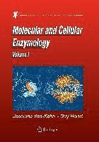 bokomslag Molecular and Cellular Enzymology