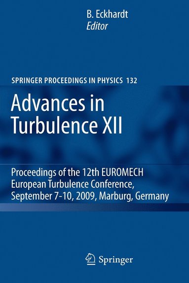 bokomslag Advances in Turbulence XII