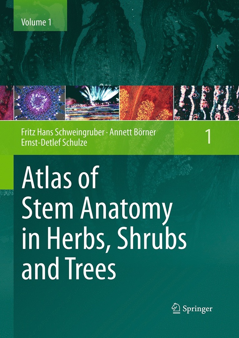 Fritz Hans Schweingruber, Annett Börner, Ernst-Detlef Schulze - Atlas of Stem Anatomy in Herbs, Shrubs and Trees, Häftad