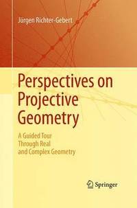 bokomslag Perspectives on Projective Geometry