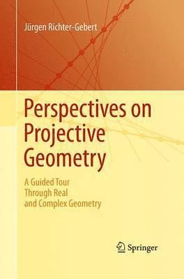 bokomslag Perspectives on Projective Geometry