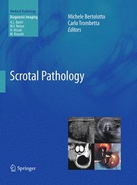 bokomslag Scrotal Pathology