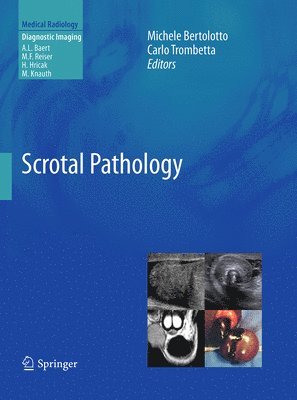 bokomslag Scrotal Pathology
