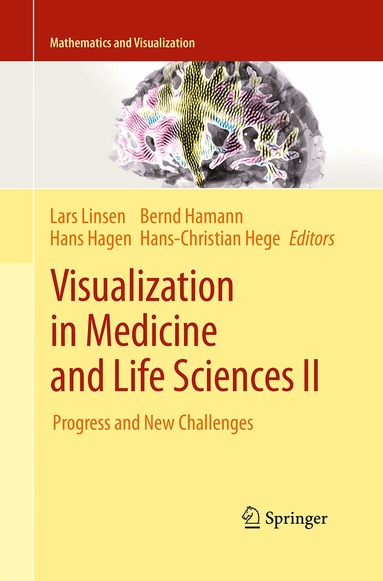 Lars Linsen, Hans Hagen, Bernd Hamann, Hans-Christian Hege - Visualization in Medicine and Life Sciences II, Häftad