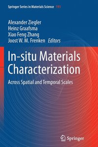 bokomslag In-situ Materials Characterization
