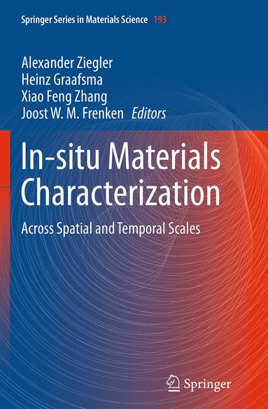 bokomslag In-situ Materials Characterization