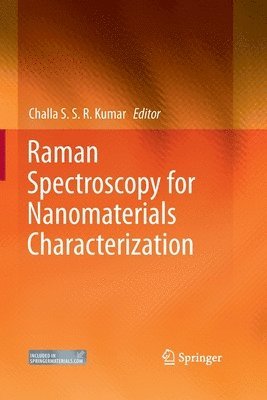 bokomslag Raman Spectroscopy for Nanomaterials Characterization