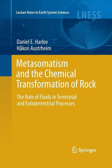 bokomslag Metasomatism and the Chemical Transformation of Rock