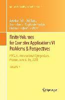 bokomslag Finite Volumes for Complex Applications VI   Problems & Perspectives