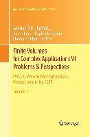 Finite Volumes for Complex Applications VI   Problems & Perspectives 1