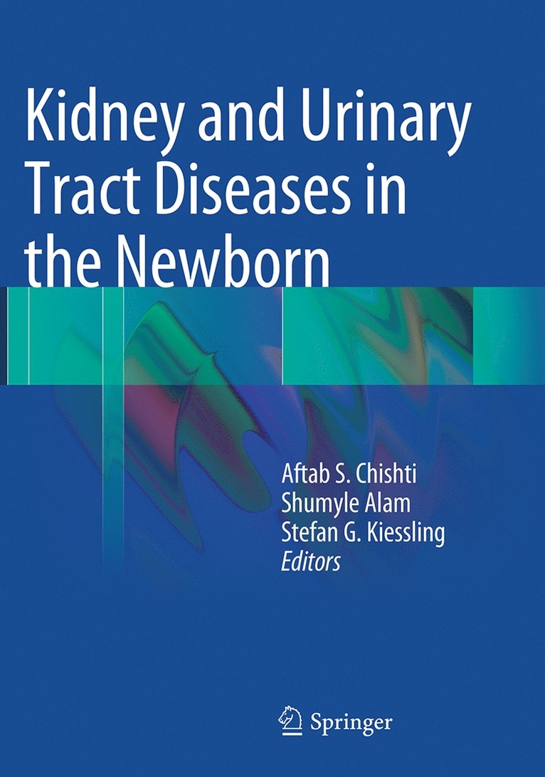 Aftab S. Chishti, Shumyle Alam, Stefan G. Kiessling - Kidney and Urinary Tract Diseases in the Newborn, Häftad