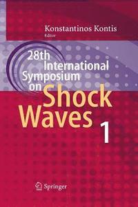 bokomslag 28th International Symposium on Shock Waves