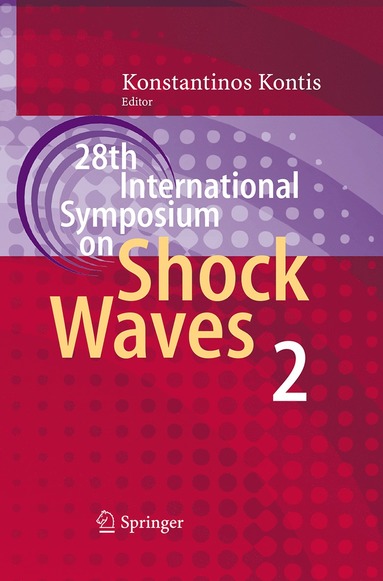 bokomslag 28th International Symposium on Shock Waves