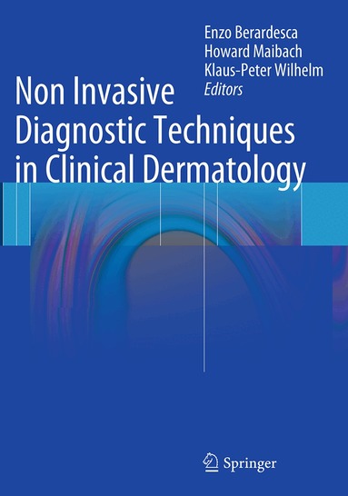 Enzo Berardesca, Howard I. Maibach, Klaus-Peter Wilhelm - Non Invasive Diagnostic Techniques in Clinical Dermatology, Häftad