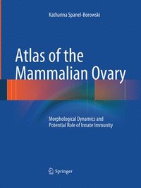 bokomslag Atlas of the Mammalian Ovary