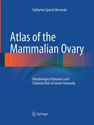 bokomslag Atlas of the Mammalian Ovary