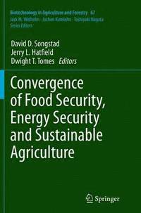 bokomslag Convergence of Food Security, Energy Security and Sustainable Agriculture