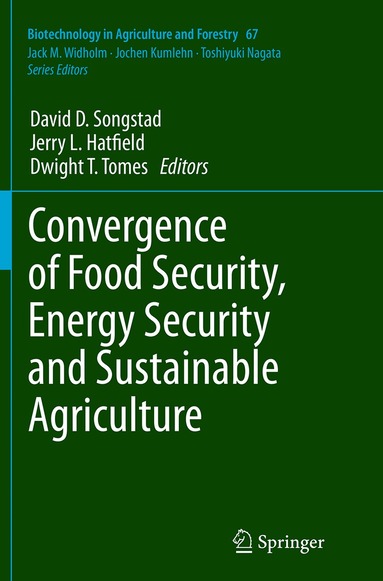 David D. Songstad, Jerry L. Hatfield, Dwight T. Tomes - Convergence of Food Security, Energy Security and Sustainable Agriculture, Häftad