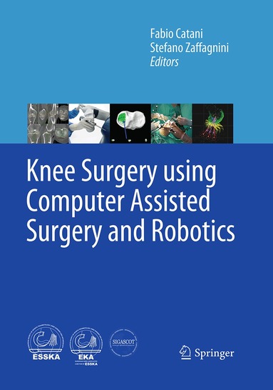 Fabio Catani, Stefano Zaffagnini - Knee Surgery using Computer Assisted Surgery and Robotics, Häftad