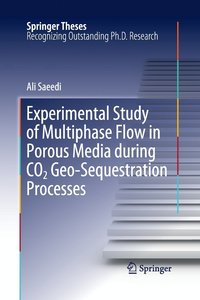 bokomslag Experimental Study of Multiphase Flow in Porous Media during CO2 Geo-Sequestration Processes