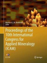 bokomslag Proceedings of the 10th International Congress for Applied Mineralogy (ICAM)