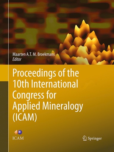 bokomslag Proceedings of the 10th International Congress for Applied Mineralogy (ICAM)