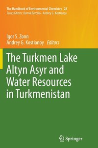 bokomslag The Turkmen Lake Altyn Asyr and Water Resources in Turkmenistan
