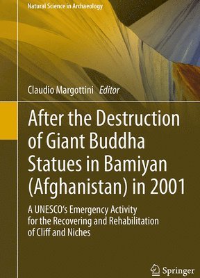 bokomslag After the Destruction of Giant Buddha Statues in Bamiyan (Afghanistan) in 2001