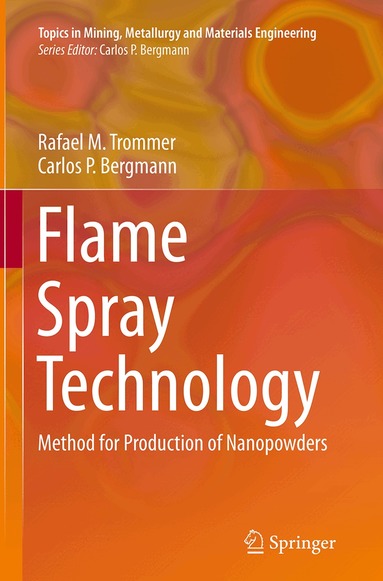 Rafael M. Trommer, Carlos P. Bergmann - Flame Spray Technology, Häftad