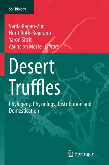 bokomslag Desert Truffles