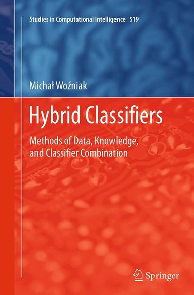 Michal Wozniak - Hybrid Classifiers, Häftad
