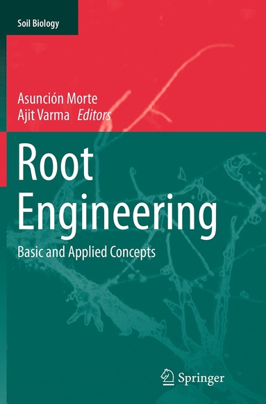 bokomslag Root Engineering