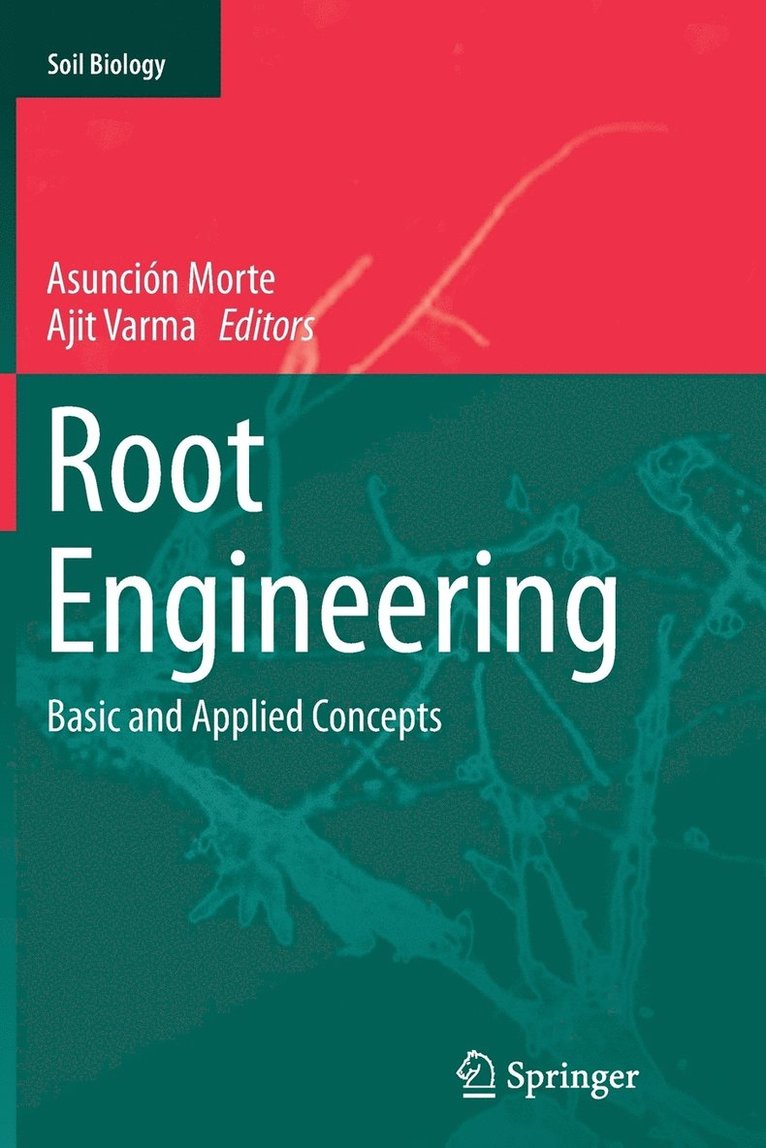 Root Engineering 1