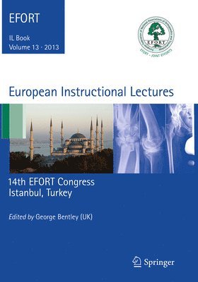 bokomslag European Instructional Lectures