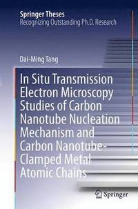 bokomslag In Situ Transmission Electron Microscopy Studies of Carbon Nanotube Nucleation Mechanism and Carbon Nanotube-Clamped Metal Atomic Chains
