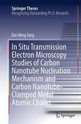 In Situ Transmission Electron Microscopy Studies of Carbon Nanotube Nucleation Mechanism and Carbon Nanotube-Clamped Metal Atomic Chains 1