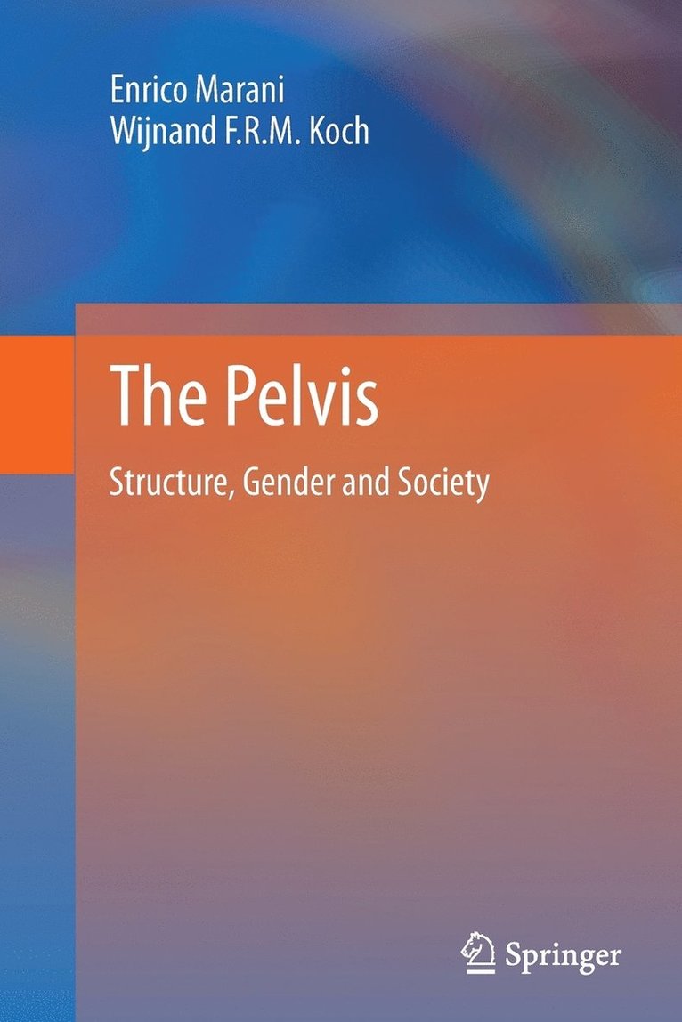 The Pelvis 1