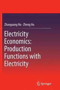 bokomslag Electricity Economics: Production Functions with Electricity