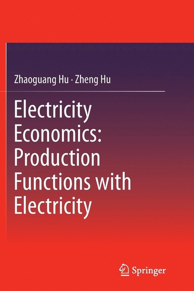 bokomslag Electricity Economics: Production Functions with Electricity