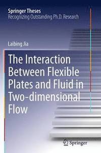bokomslag The Interaction Between Flexible Plates and Fluid in Two-dimensional Flow