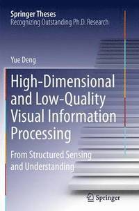 bokomslag High-Dimensional and Low-Quality Visual Information Processing