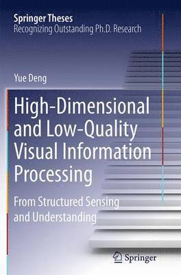 High-Dimensional and Low-Quality Visual Information Processing 1