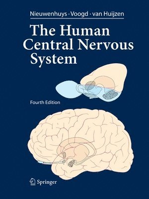 The Human Central Nervous System 1