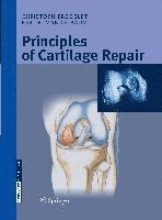 bokomslag Principles of Cartilage Repair